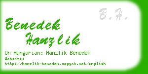 benedek hanzlik business card